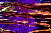 &ldquo;一束斜照的阳光&rdquo; - 艺术展 